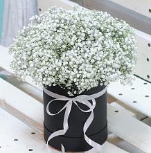 Цветочная композиция из Гипсофила в шляпной коробке #REPLACE_PRED# Порецкое