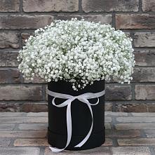 Цветочная композиция из Гипсофила в шляпной коробке в Порецкое