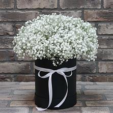 Цветочная композиция из Гипсофила в шляпной коробке в Порецкое